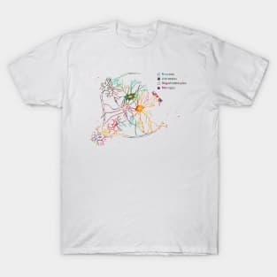 Cortical pyramidal cells T-Shirt